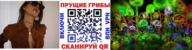 Псилоцибиновые грибы GOLDEN TEACHER Пикалёво