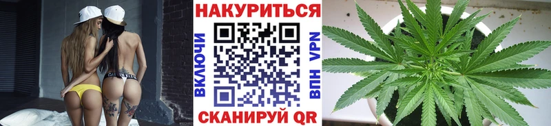 где купить наркоту MEGA маркетплейс Каннабис план Пикалёво